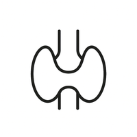 Thyroid & Hormonal Hair Changes